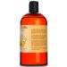 Natural Born Oils Apricot Kernel Oil 16oz - 100% Pure Cold-Pressed Organic Moisturizer for All Skin Types - Buy Online on GoSupps.com