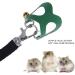 Asixxsix Hamster Dishwear & Leash Set | Synthetic Leather Crockery & Nylon Line for Guinea Pigs Hamsters Ferrets Chinchillas - 3 Sizes Available (Green) - Buy Online on GoSupps.com