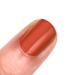 Orly Nail Polish Plot Twist - Fall Nail Color Collection | In the Conservatory | International Shipping Available - Buy Online on GoSupps.com