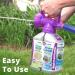 Rejuvenate Dual System Outdoor Window & Siding Cleaner with Hose-End Attachment - Buy Online on GoSupps.com