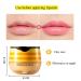 4 PCS Bee Lip Balm Honey Pot Propolis Lip Mask Moisturizing Moisture Nourishing Dry & Chapped Care and Reduces Lines Exfoliating (Honey) Honey 4 pcs - Buy Online on GoSupps.com