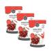Buy 3x Borchers Gelming with Birch Sugar Xylitol | Ideal for Fruit Spreads | Sugar Alternative | Finnish 300g Pack - Buy Online on GoSupps.com