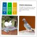 Angoily 6 Pcs Pigeon Ring Stand Training Band Holder Bird Ring Holder Chicks Foot Rings Stand Place Holder Chicken Labels Pigeon Leg Ring Organizer Racing Pigeon Ring Multicolor Plastic 20x7cmx2pcs As Shownx2pcs - Buy Online on GoSupps.com
