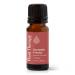 Plant Therapy Fantastic Franks Essential Oil Blend 10 mL (1/3 oz) 100% Pure Undiluted Therapeutic Grade Fantastic Franks 0.34 Fl Oz (Pack of 1)