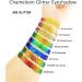 GL-Turelifes Chameleon Body Glitter Gel Set - Sparkling Chunky Glitter for Eyes, Face, Lips & Body - Festival Cosmetic Glitter - Long Lasting - 2 Pack - Buy Online on GoSupps.com