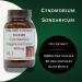 Cynomorium Songaricum Extract 10:1 | 600mg Per Capsule | Herbal Supplement for Stamina, Vitality & Wellness | 60 Vegan Capsules | Stearate-Free, Glass Bottled - Buy Online on GoSupps.com
