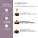 Creano Tea Blower - 36 Blooming Black Tea Balls | Large Bulk Pack for Flowering Tea Lovers - Buy Online on GoSupps.com