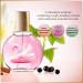 Gloria Vanderbilt Minuit New York Eau de Parfum Spray 100 ml - Buy Online on GoSupps.com