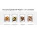 Benestem Human CBCM Cream 50ml | 70 Protein-Rich Stem Cell Formula | Moisturizing - Buy Online on GoSupps.com