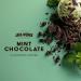 Java Works Coffee - Mint Chocolate Chip Flavoured Coffee | 340 grams | Medium Roast | Whole Bean Mint Chocolate 340 g (Pack of 1) - Buy Online on GoSupps.com