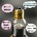 Health Care Infrared Heating Lamp Bulb Accessory 110V Or 220V for Elitzia Lamp Elitzia ETH310 (Transparent and red 110V) - Buy Online on GoSupps.com
