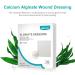 Winner Medical Calcium Alginate Wound Dressing Pads 4'' x 4'' - Box of 10 | Sterile, Antimicrobial, Highly Absorbent | Non-Stick, Flexible & Gentle - Faster Healing - Buy Online on GoSupps.com