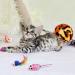 Shop GOLDGE 16-Piece Cat Toy Set | Feather Toys & Balls for Cats - International Shipping Available - Buy Online on GoSupps.com