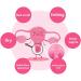 AnnieCare PinkMarine Fish Oil Softgel Capsules - Soothe&Slim Anti-Itch Detox Slimming (2box/14pcs) - Buy Online on GoSupps.com