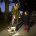 Flexi attachment LED Lighting System Black for dog walking - Buy Online on GoSupps.com