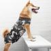 WPCASE DOG Professional Recovery Suit - Surgical Wear for Dogs | E-collar Alternative for Belly Wounds | XL Green - Buy Online on GoSupps.com