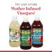 Organic Raw Apple Cider Vinegar with Mother - 16 fl oz | Dynamic Health Laboratories - Buy Online on GoSupps.com