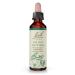 Bach Original Flower Remedies Walnut - Adapt to Change - Natural Homeopathic Flower Essence for Emotional Balance - Vegan Gluten Free Sugar Free - 20mL Dropper