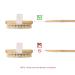 Dry Brushing Body Brush Set - Exfoliating Natural Bristle Brushes for Cellulite & Lymphatic Massage - Buy Online on GoSupps.com