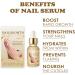 NailGrowth DeepHealing Organic Serum NailGrowth Serum Reconstrux Nail Growth Nail Growth and Strength Serum Nail Growth Serum Nail Repair Essence Serum 30ml (2Pcs) - Buy Online on GoSupps.com