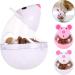 FANTESI 2 Pcs Cat Food Ball Dispenser Cat Treat Toy Feeder Toy for Interactive IQ Treat Training Mouse shape Tumbler (Random color) - Buy Online on GoSupps.com