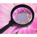 Magnifier with 10X 20X Magnification Lightweight Handheld Magnifying Glass for Reading Inspection Magnifier/Black Comfortable Anniversary - Buy Online on GoSupps.com