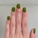 Green Nail Polish Nail Varnish Forest Grass Green Quick Dry Breathable Long Lasting Dark Green No Need Baking Christmas Nail Polishes for Women Girls DIY Home Manicure Polish Nails - Buy Online on GoSupps.com