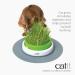 Catit Play Track Super - Ultimate Super Circuit & Grass Planter for Cats | International Shipping - Buy Online on GoSupps.com