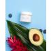 Earth Harbor SIREN SILK Hydration Creme | Multi-Tasking Moisturizer - Buy Online on GoSupps.com
