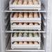 Artibetter Serving Tray Containers Storage Box 1pc - out Egg Box Double- layer Stable Household Egg Holder Egg Storage Box Egg Container Flat Storage Stackable - Buy Online on GoSupps.com