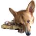 TOPAZ Natural Coffee Wood Chewing Toy for Dogs 10-20 kg (M) | Durable Eco-Friendly Chew for Healthy Teeth - Buy Online on GoSupps.com