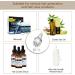 Fresinor Scalp Massager & Applicator for Essential Oils - Boost Hair Growth | International Shipping Available - Buy Online on GoSupps.com