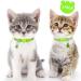 Taglory Reflective Cat Collar with Safety Clasp & Bell - 2-Pack Adjustable Collars (15-20cm) for Cats & Kittens - Green - Buy Online on GoSupps.com