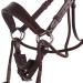 Buy Discussed Sunna Bridle - Anatomically Shaped Durable Multifunctional & Comfortable for Warmbloods | International Shipping Available - Buy Online on GoSupps.com