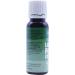 PME 100% Natural Food Colouring - Moss Green 25g | Eco-Friendly Dye for Baking - Buy Online on GoSupps.com