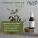 Organic Rosemary Oil for Hair Growth | Moroccan & Jojoba Oil Blend | Moisturizes Split Ends & Dry Scalp | 30ml - Product of Canada - Buy Online on GoSupps.com
