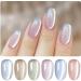 Double Rhythm Cat Eye Gel Nail Polish Set of 6 Colors Shimmer Glitter with Magnet 9D Holographic Reflective Magnetic Nail Polish (Silver Blue Orange Green Purple Pink -Kit 24) Silk