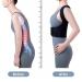 Kktongxi Camelback Correction Belt - Adjustable Back Support for Spine & Shoulder Pain Relief (M) | International Shipping Available - Buy Online on GoSupps.com