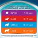 Simple Solution Disposable Dog Diapers for Males - Super Absorbent Leak-Proof Fit | 2-Pack for Urination Incontinence & Marking - Buy Online on GoSupps.com