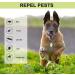Buy Pacegre Ultrasound Pest Repeller - 2 Portable Mini Insecticides for Rats Mosquitoes Cockroaches & Spiders - International Shipping Available - Buy Online on GoSupps.com