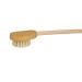 Redecker Natural Pig Bristle Back Scratcher Brush - 20-1/2-Inches, Oiled Beechwood Handle - Buy Online on GoSupps.com