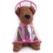 ZoonPark Pet Dog Raincoat Poncho Dog Puppy Pet Lightweight Waterproof Teddy Transparent Plastic Poncho Raincoat for Small Or Medium Dogs (XS Pink) - Buy Online on GoSupps.com