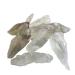 Natural Crystal Rough 1pc Natural Green Crystal Quartz Minerals Specimen Irregular Shape Rough Rock Stone Home Decoration 3-6cm 1pcs