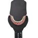 Dental Oral Image Contraster Palatal Photographic Black Background Board - 6 Sizes - Buy Online on GoSupps.com
