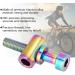 Titanium Alloy Bike Seatpost Screw - Symphony M5x30 | Seat Clamp Replacement Parts - Buy Online on GoSupps.com