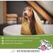 Lillis Naturals Dog Shampoo with Natural Herbs - 500ml for Skin & Coat Care | International Shipping - Buy Online on GoSupps.com