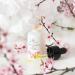 Buy Rosadia Light Face Serum 30ml - Hydrating & Brightening - International Shipping Available - Buy Online on GoSupps.com