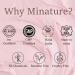 Miniature Body Butter - 50g | Rose Infused | Shea Cocoa & Mango Butters | Non-Greasy Vegan Moisturizer | Cruelty-Free | Made in India - Buy Online on GoSupps.com