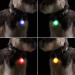 AFUNTA Pet Collar LED Lights for Dog Cat 9 Pcs Clip-on Pet Dog LED Light Safety Night Walking Lights for Pets 9 colors Included 9 Batteries - Buy Online on GoSupps.com