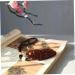 Shop Handmade Animal-Themed Desktop Accessories & Feng Shui Statues | Unique Gifts & Household Decor - Buy Online on GoSupps.com